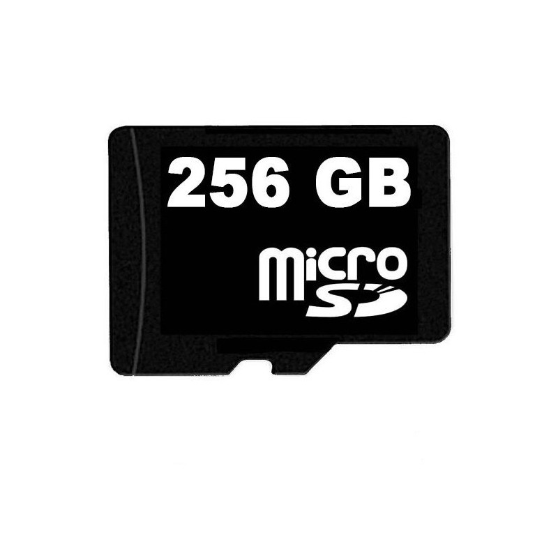 Carte Micro SD 256 Go