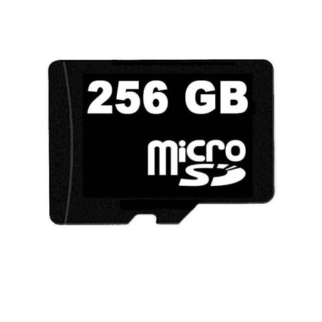 Carte Micro SD 256 Go