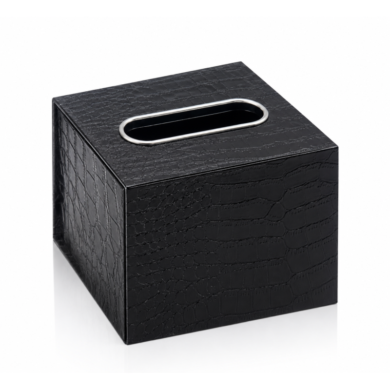 WIFI Tissue Box Camera with Remote Access