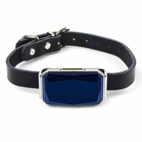 dog tracking collar