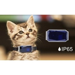 pet tracker collar cat