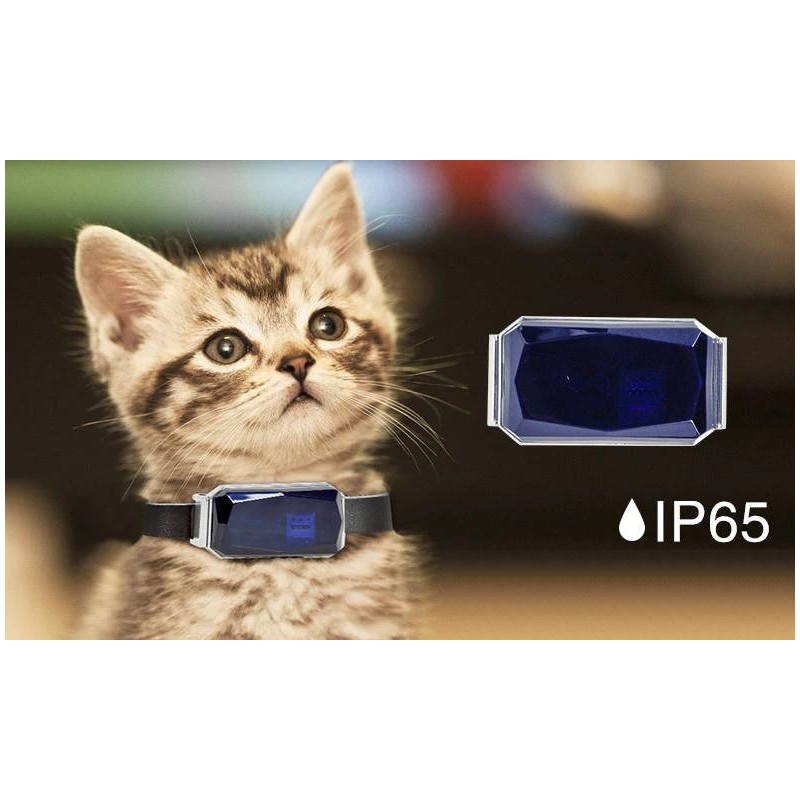 tracker for cats collar